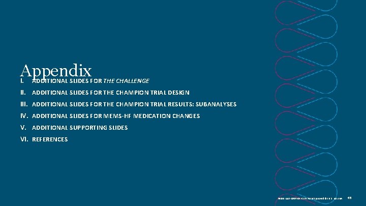  Appendix I. ADDITIONAL SLIDES FOR THE CHALLENGE II. ADDITIONAL SLIDES FOR THE CHAMPION