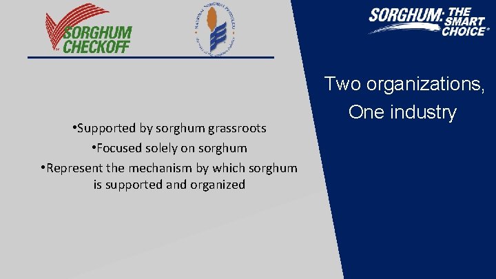  • Supported by sorghum grassroots • Focused solely on sorghum • Represent the