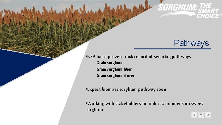 Pathways • NSP has a proven track record of securing pathways Grain sorghum fiber