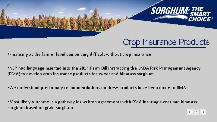 Crop Insurance Products • Financing at the farmer level can be very difficult without