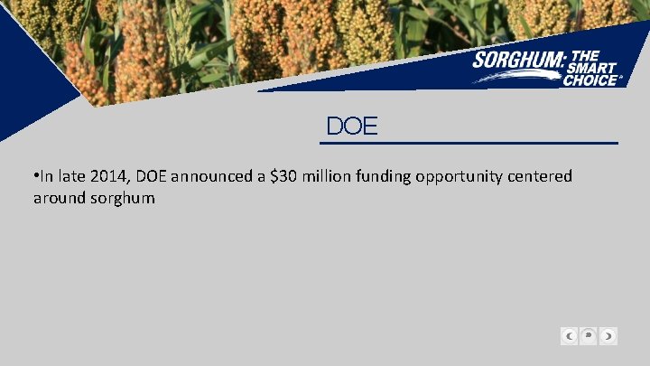 DOE • In late 2014, DOE announced a $30 million funding opportunity centered around