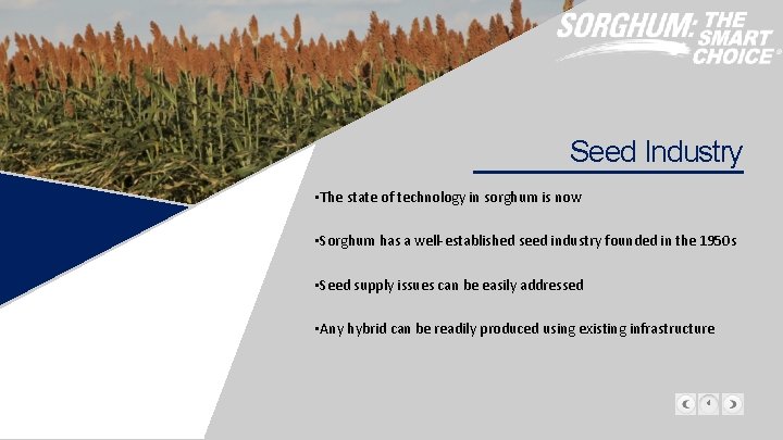 Seed Industry • The state of technology in sorghum is now • Sorghum has