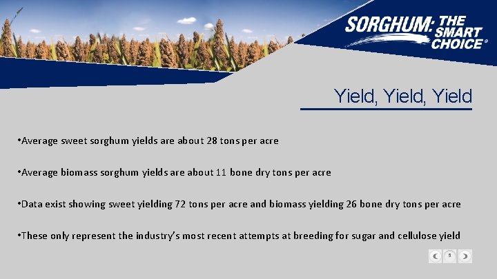 Yield, Yield • Average sweet sorghum yields are about 28 tons per acre •
