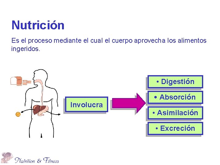 Nutrición Es el proceso mediante el cual el cuerpo aprovecha los alimentos ingeridos. •