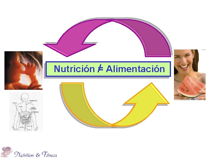 Nutrición = Alimentación 