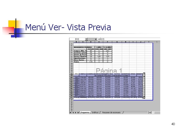 Menú Ver- Vista Previa 40 