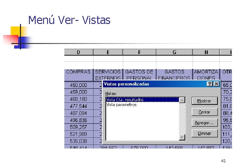 Menú Ver- Vistas 41 