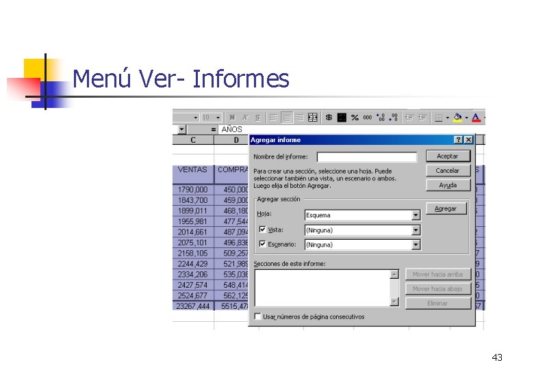 Menú Ver- Informes 43 