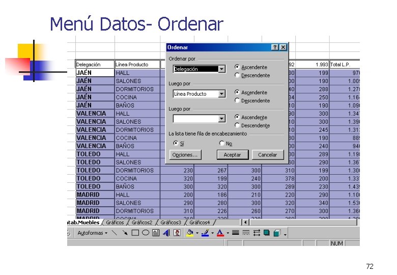 Menú Datos- Ordenar 72 