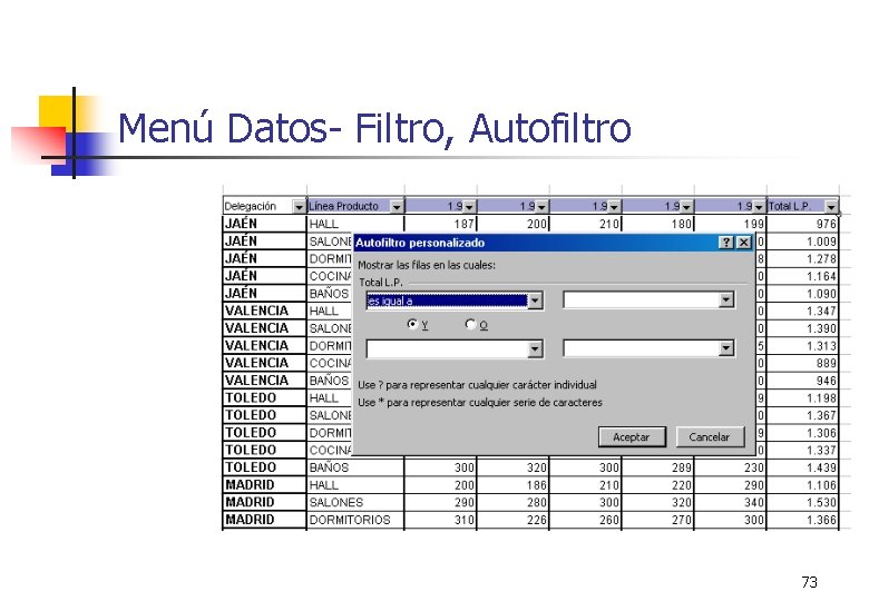 Menú Datos- Filtro, Autofiltro 73 