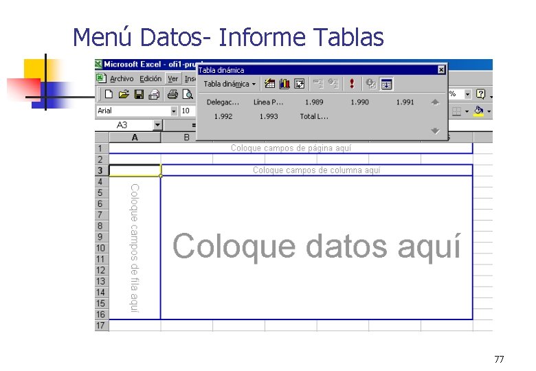 Menú Datos- Informe Tablas 77 