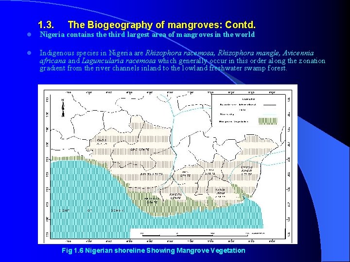 l l 1. 3. The Biogeography of mangroves: Contd. Nigeria contains the third largest