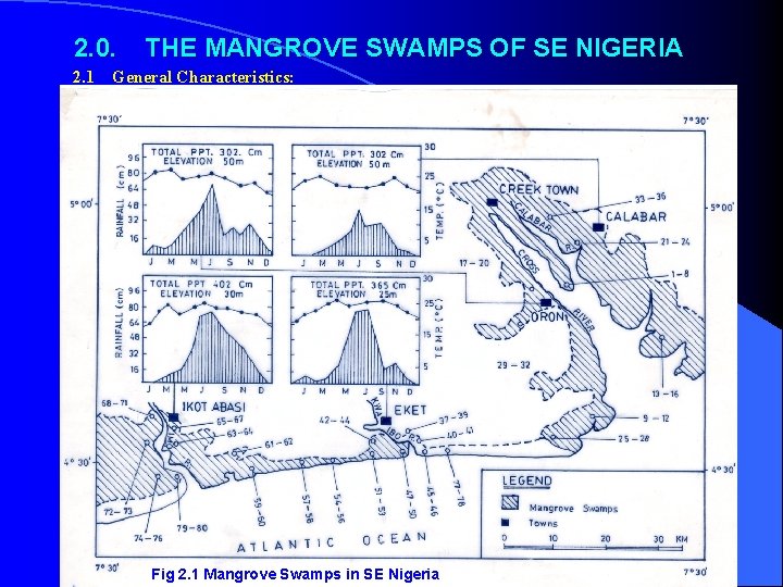  2. 0. 2. 1 THE MANGROVE SWAMPS OF SE NIGERIA General Characteristics: Fig