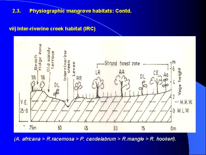 2. 3. Physiographic mangrove habitats: Contd. vii) Inter-riverine creek habitat (IRC) (A. africana >