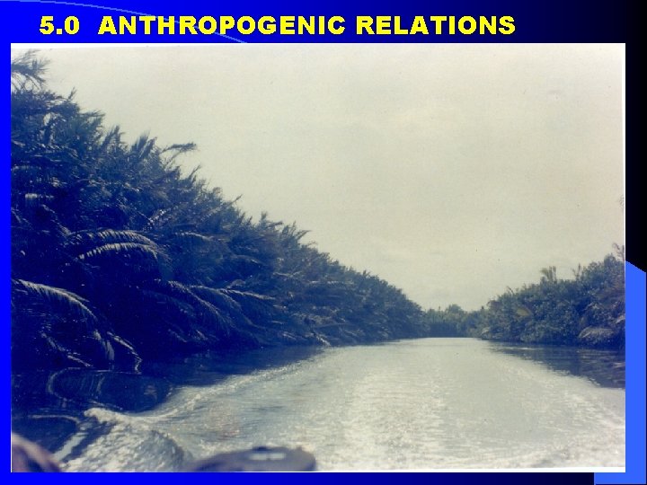 5. 0 ANTHROPOGENIC RELATIONS 