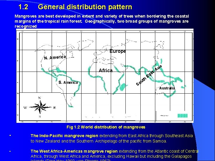 1. 2 General distribution pattern Mangroves are best developed in extent and variety of