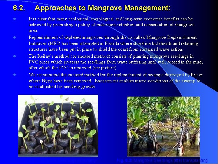 6. 2. l l Approaches to Mangrove Management: It is clear that many ecological,