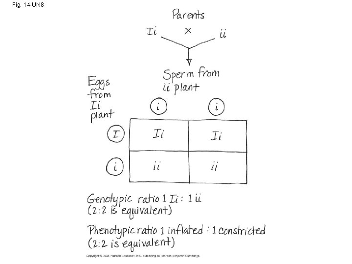 Fig. 14 -UN 8 