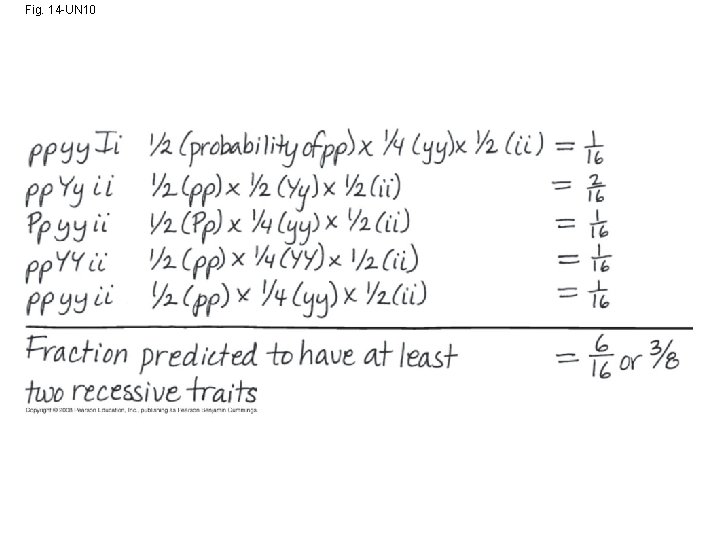 Fig. 14 -UN 10 