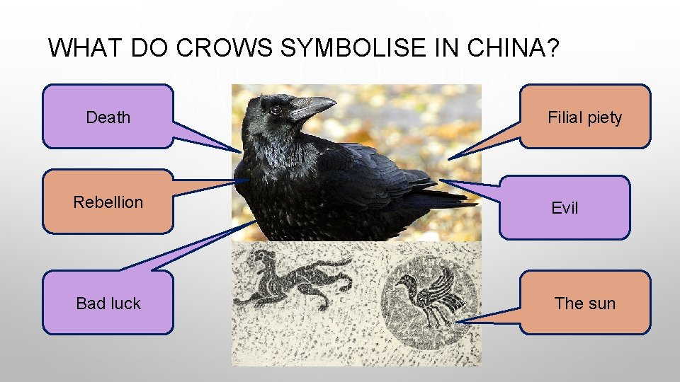 WHAT DO CROWS SYMBOLISE IN CHINA? Death Filial piety Rebellion Evil Bad luck The WHAT DO CROWS SYMBOLISE IN CHINA? Death Filial piety Rebellion Evil Bad luck The