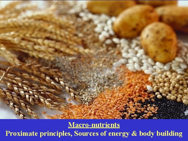 Macro-nutrients Proximate principles, Sources of energy & body building 