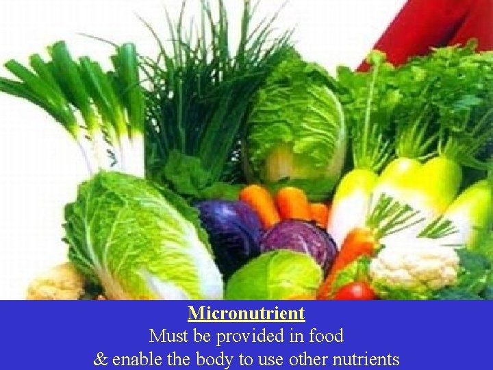 Micronutrient Must be provided in food & enable the body to use other nutrients