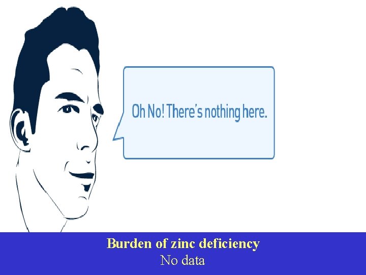 Burden of zinc deficiency No data 