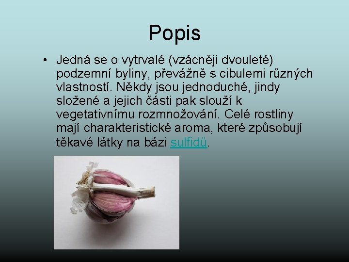 Popis • Jedná se o vytrvalé (vzácněji dvouleté) podzemní byliny, převážně s cibulemi různých