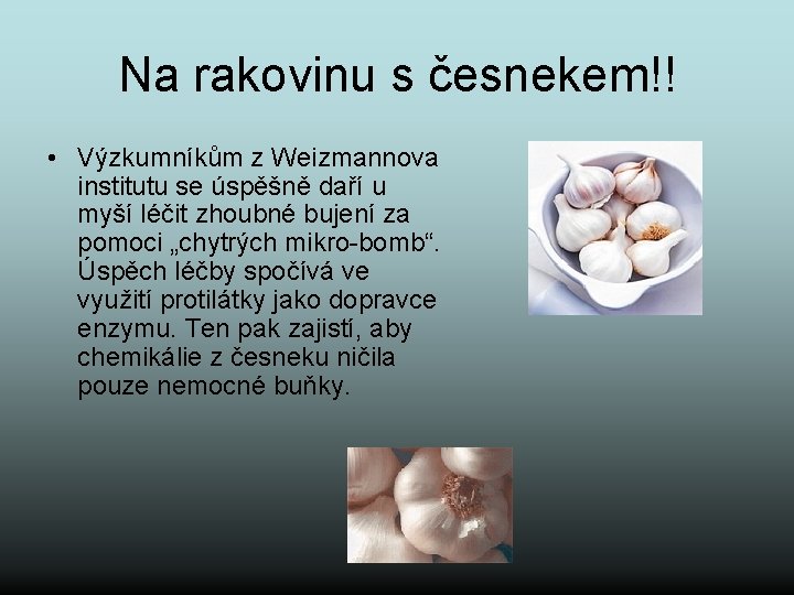 Na rakovinu s česnekem!! • Výzkumníkům z Weizmannova institutu se úspěšně daří u myší