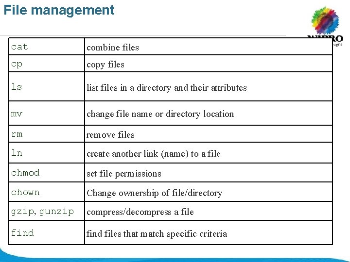 File management cat combine files cp copy files ls list files in a directory