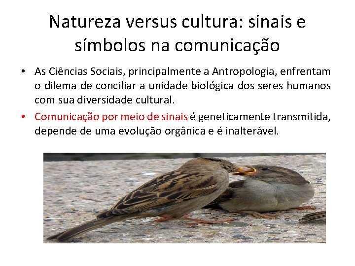 Natureza versus cultura: sinais e símbolos na comunicação • As Ciências Sociais, principalmente a