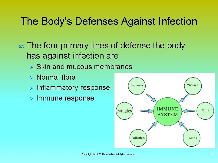 The Body’s Defenses Against Infection The four primary lines of defense the body has