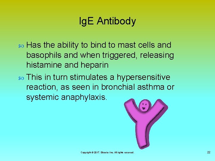 Ig. E Antibody Has the ability to bind to mast cells and basophils and