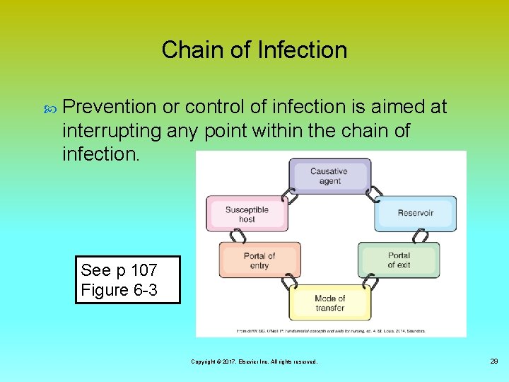 Chain of Infection Prevention or control of infection is aimed at interrupting any point