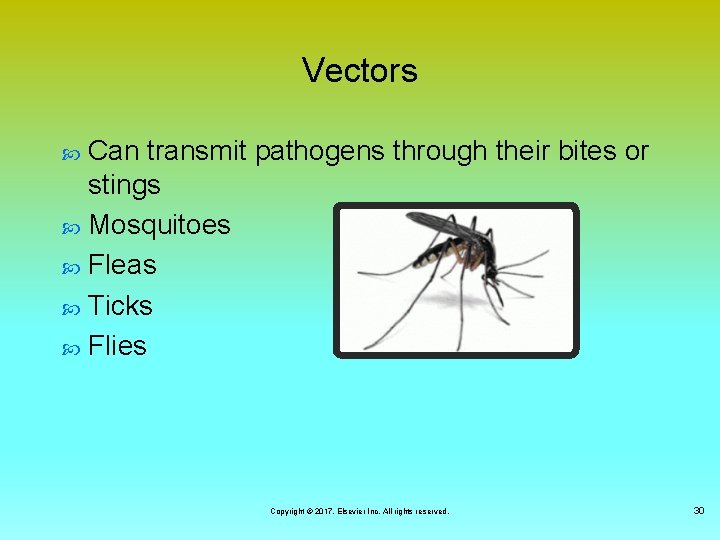 Vectors Can transmit pathogens through their bites or stings Mosquitoes Fleas Ticks Flies Copyright