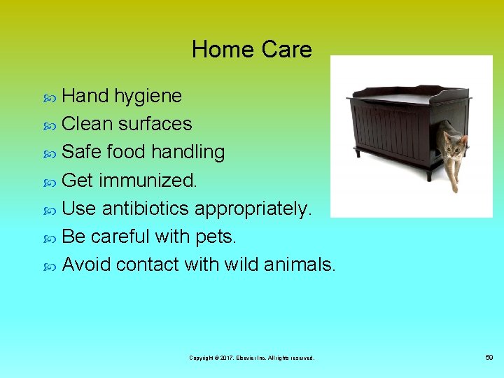 Home Care Hand hygiene Clean surfaces Safe food handling Get immunized. Use antibiotics appropriately.