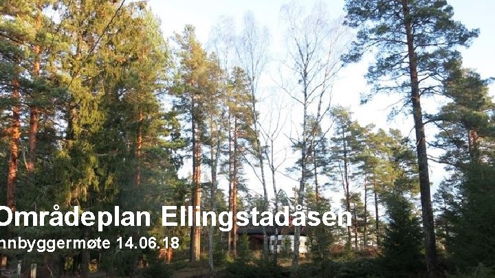 Navn Etternavn Områdeplan Ellingstadåsen nnbyggermøte 14. 06. 18 26. 04. 2018 Helga Trømborg 