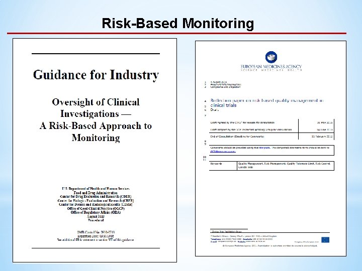 Risk-Based Monitoring 