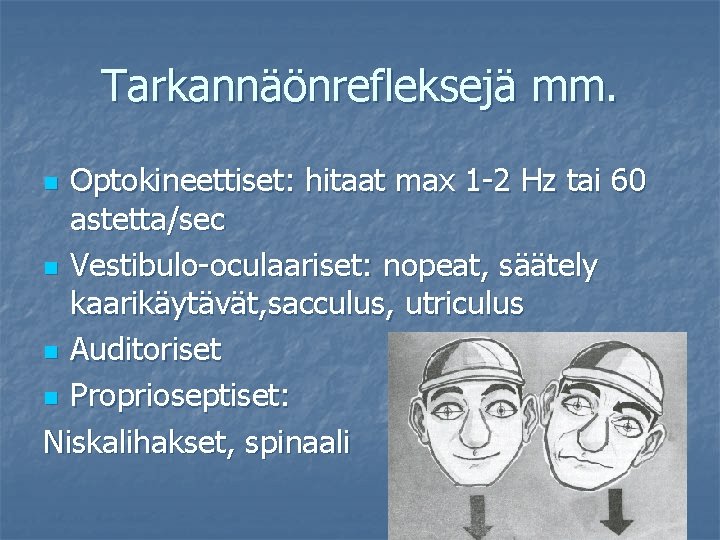 Tarkannäönrefleksejä mm. Optokineettiset: hitaat max 1 -2 Hz tai 60 astetta/sec n Vestibulo-oculaariset: nopeat,