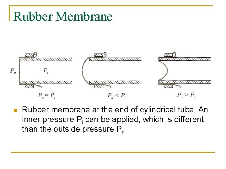 Rubber Membrane n Rubber membrane at the end of cylindrical tube. An inner pressure