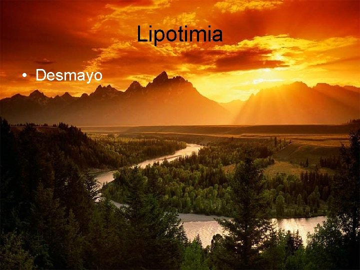 Lipotimia • Desmayo Lipotimia • Desmayo