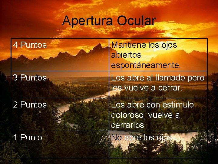 Apertura Ocular 4 Puntos 3 Puntos 2 Puntos 1 Punto Mantiene los ojos abiertos Apertura Ocular 4 Puntos 3 Puntos 2 Puntos 1 Punto Mantiene los ojos abiertos