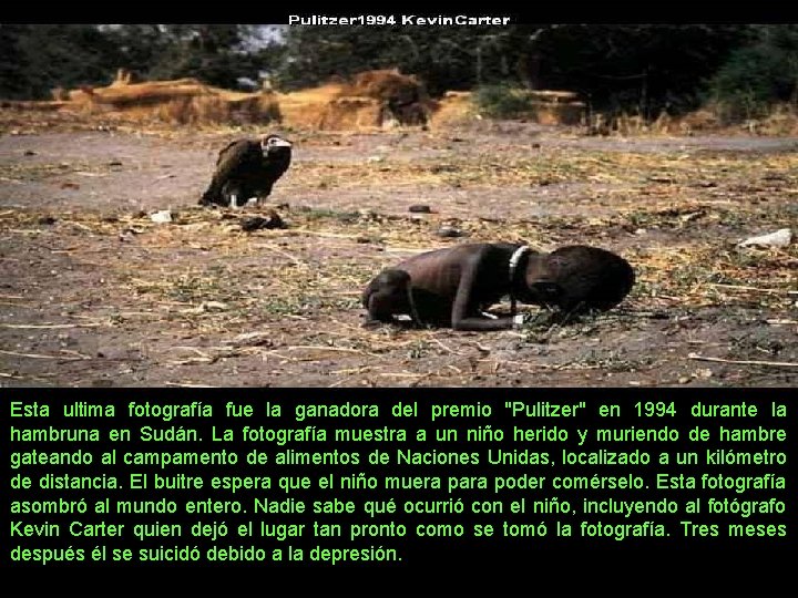 Esta ultima fotografía fue la ganadora del premio "Pulitzer" en 1994 durante la hambruna Esta ultima fotografía fue la ganadora del premio "Pulitzer" en 1994 durante la hambruna