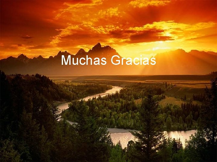 Muchas Gracias Muchas Gracias