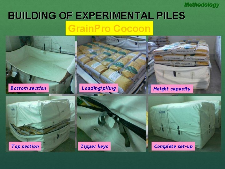 Methodology BUILDING OF EXPERIMENTAL PILES Grain. Pro Cocoon Bottom section Loading/piling Top section Zipper