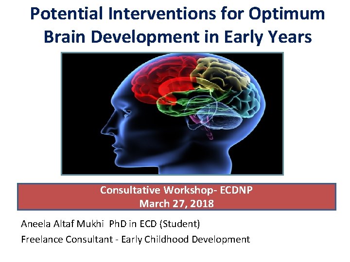 Potential Interventions for Optimum Brain Development in Early Years Consultative Workshop- ECDNP March 27,