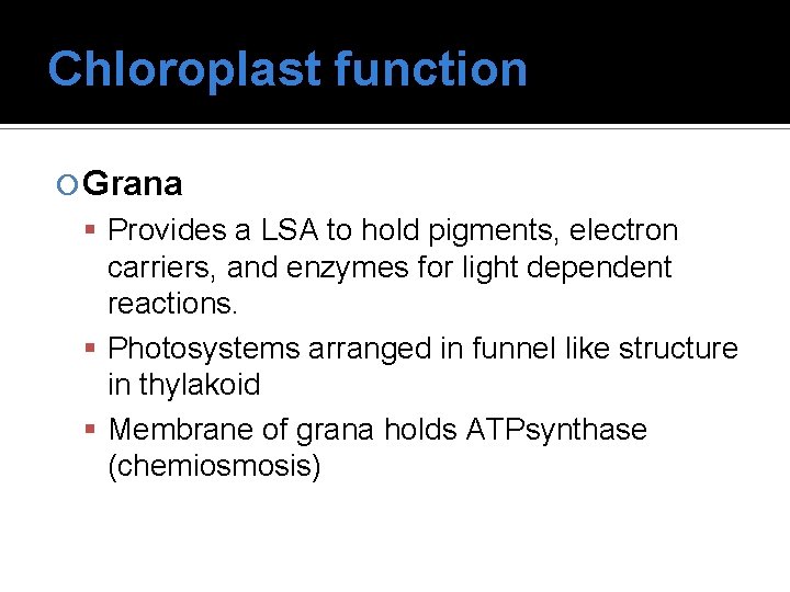 Grana Function Photosynthesis Unit 1 Communication Homeostasis and Energy Which