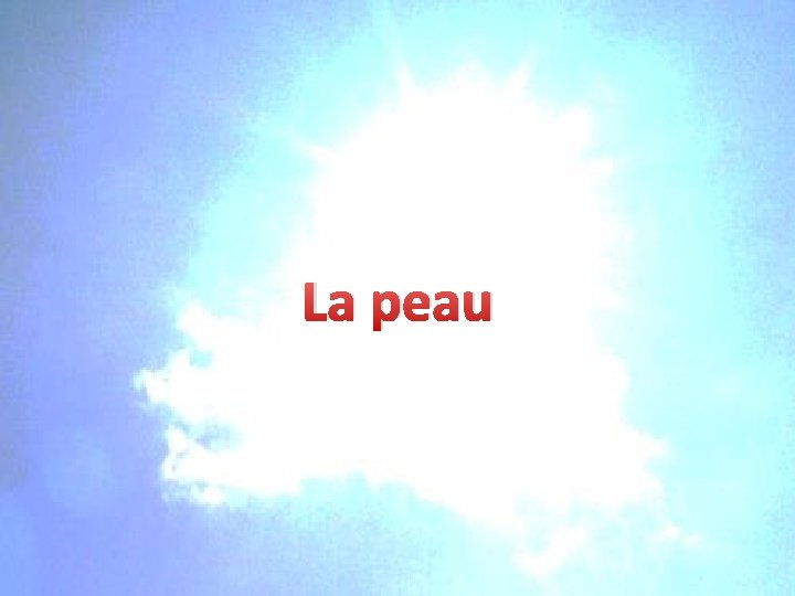 La peau La peau