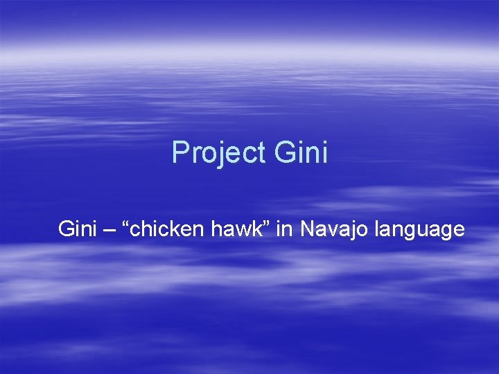 Project Gini – “chicken hawk” in Navajo language 