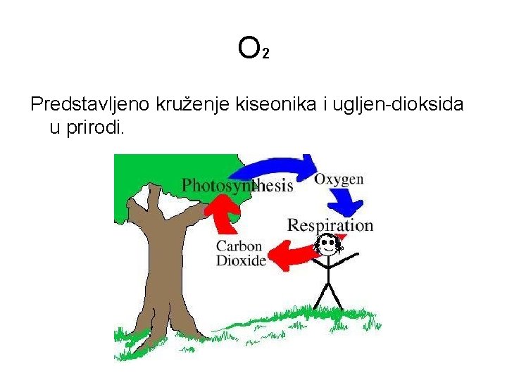 O 2 Predstavljeno kruženje kiseonika i ugljen-dioksida u prirodi. O 2 Predstavljeno kruženje kiseonika i ugljen-dioksida u prirodi.
